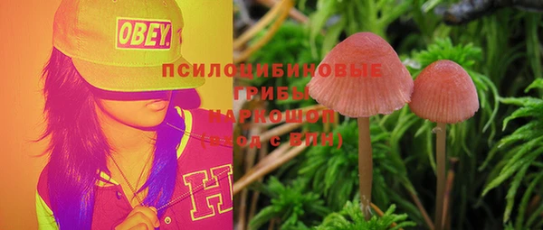 прущие крисы Балабаново